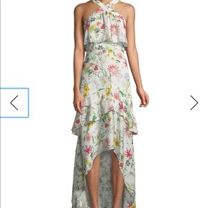 Parker Fillipa Floral-Print Silk Halter Dress